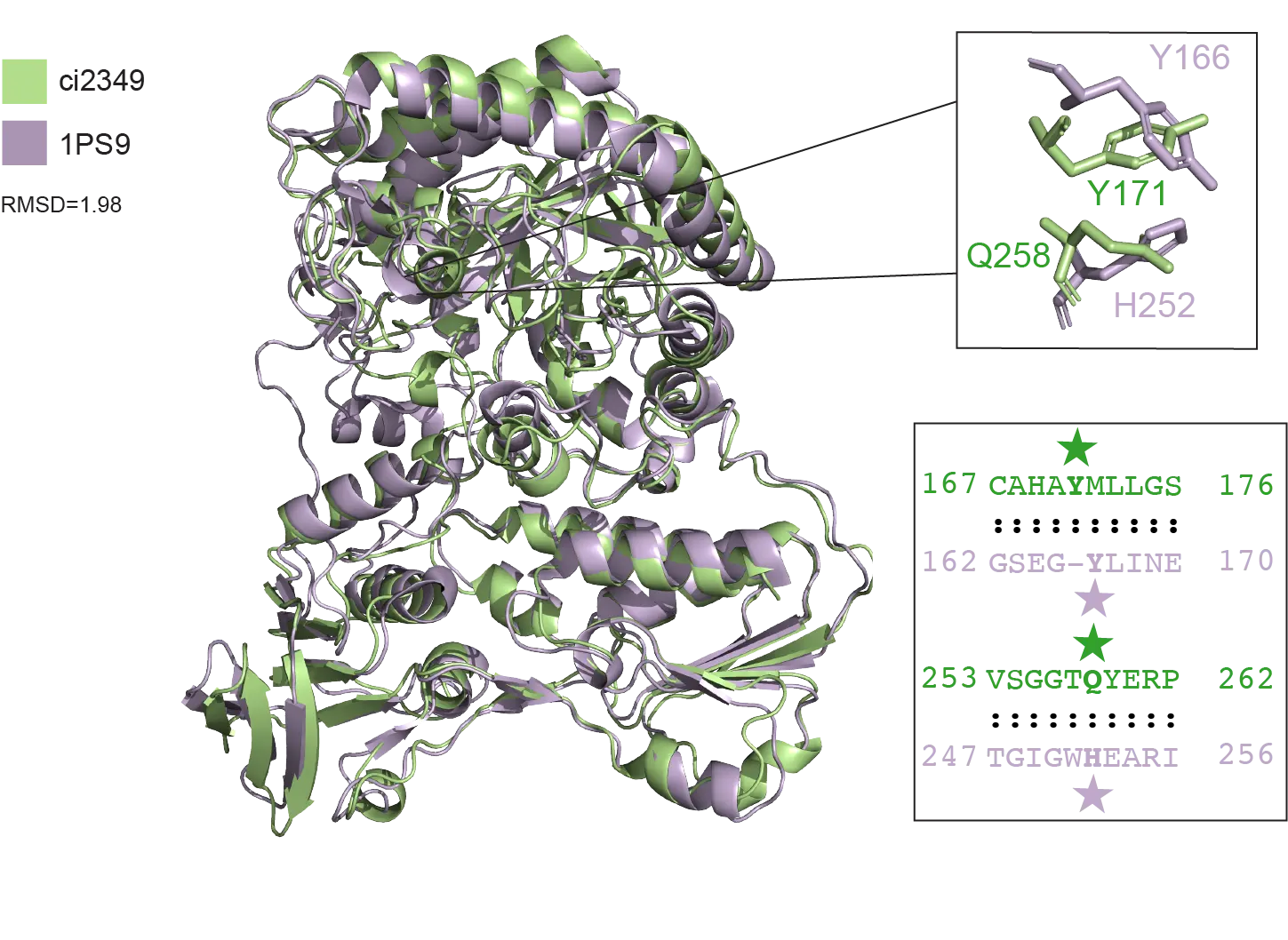 Comparison of a novel progesterone derivative reductase to E. coli 2,4-dienoyl CoA reductase